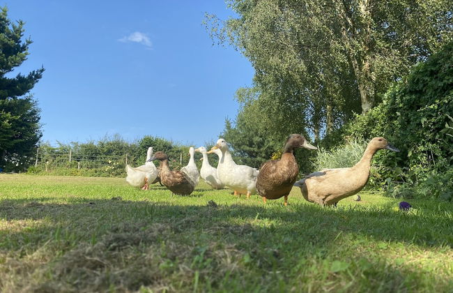 A Serene and Tranquil Escape for two - Photo 16