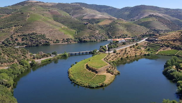 Tour de viñedos y bodegas por el Valle del Duero - Foto 5