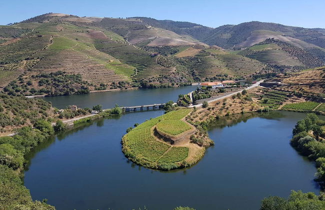 Tour de viñedos y bodegas por el Valle del Duero - Foto 5