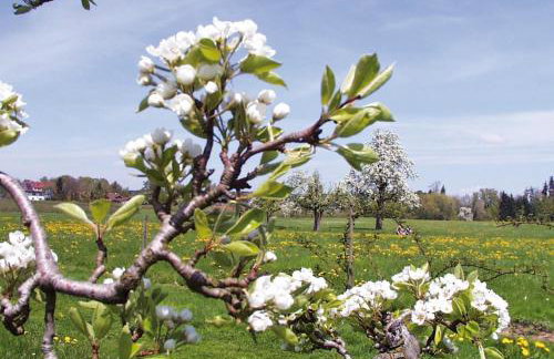 Baumanns Ferienhof Am See - Foto 44