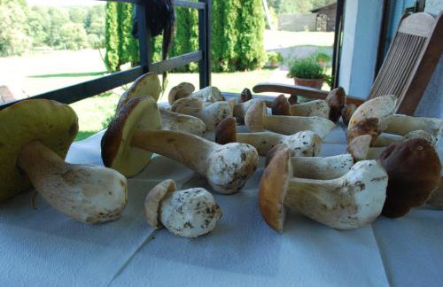 Natura Apartamenty - Foto 73