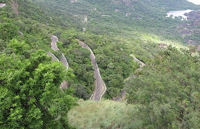 Room in Lodge - Royal Cottage, Anaimalai Room - Foto 16