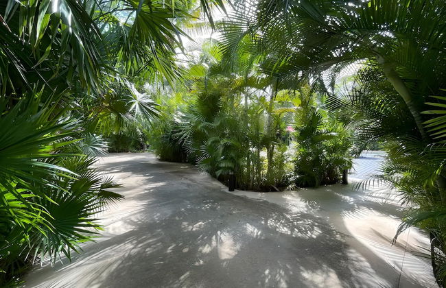 Lorecha Ochoa by Andiani Travel - Photo 48