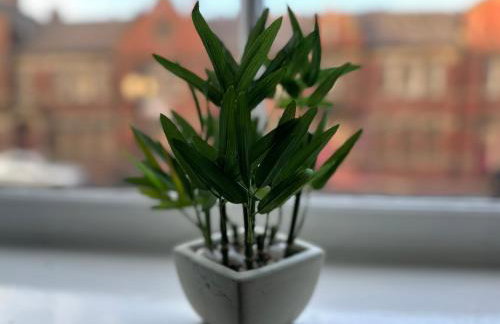 Great offers on Long Stays!! LaLuNa Apartments - Foto 10