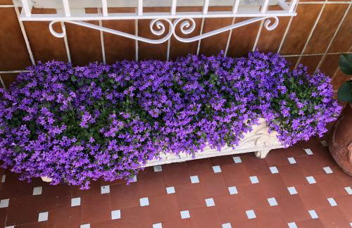 La casa de Cudón - Foto 39