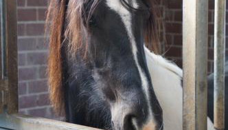 Ferienwohnung Hof Scholl - Photo 3