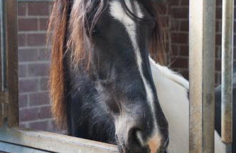 Ferienwohnung Hof Scholl - Photo 3