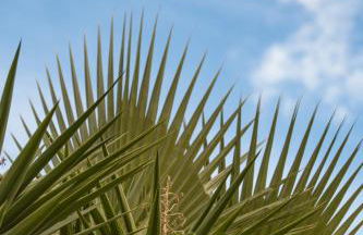 Exclusive Villa City, Beach & Golf - Photo 51