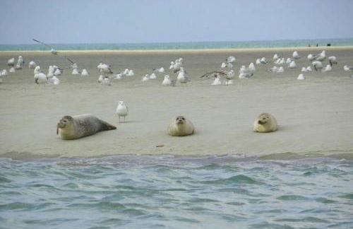 Les Obiones, vue latérale mer, Fort Mahon Plage, magnifique studio cabine 4p, avec balcon , parking privé gratuit, wifi, classé 2 étoiles, exposition plein sud en Baie de Somme - Foto 30