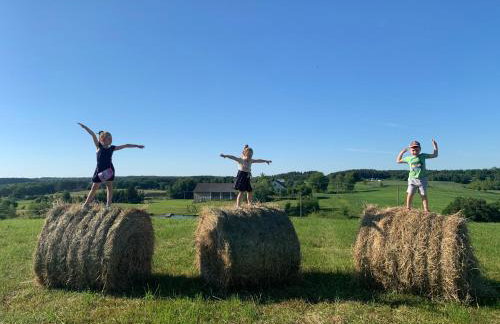 Siedlisko Wiłkupie, Dom na wzgórzu - Foto 31