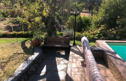 Monte do Rei Santo - Foto 4