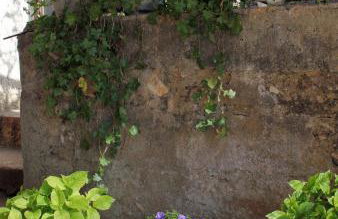 Apartments with a parking space Zupanje, Krk - 5307 - Foto 12