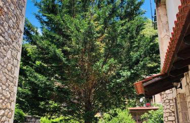 Stonehouse dome Lagadia - Photo 35