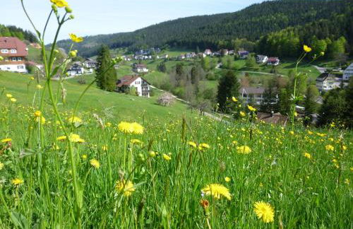 Schwarzwald-Ferienwohnungen Begert - Foto 12