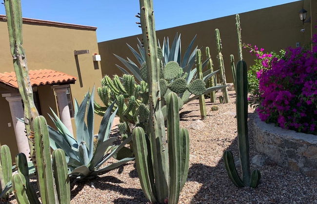 Casa Tulipan - Foto 1