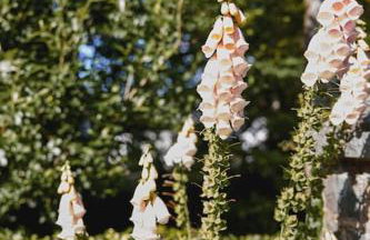 Ty Pandy Eclectic Luxury Family cottage Sleeps 8 adults and 2 children - Photo 35