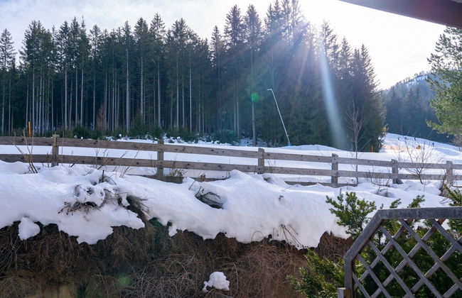 Apartment With Carinthian Mountain View - Photo 38