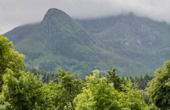 Forest Corner Luxury Home with Hot Tub - Foto 25