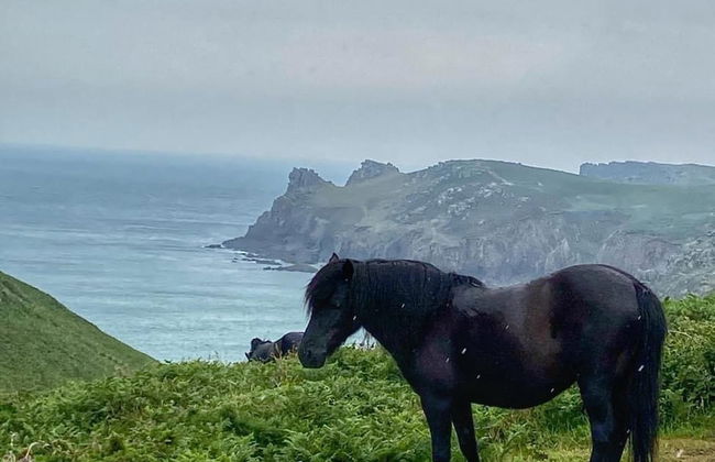 Cowshed Cottage Located nr Kynance Cove - Foto 21