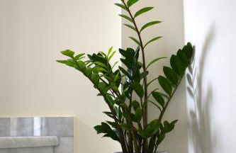 Four Seasons Homes - Foto 6