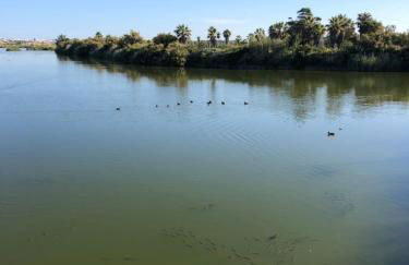 Herdade dos Salgados-Vila das Lagoas - Foto 38