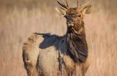 House at the Refuge - Relax & Take in Nature - Foto 53