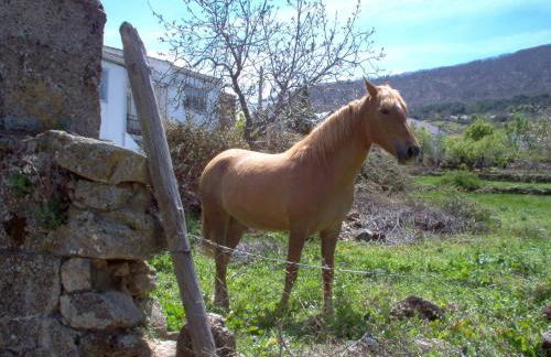 Casa Rural Cristina III - Foto 40