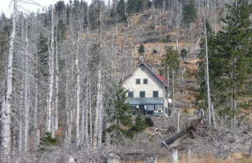 Apartment Gottal by Interhome - Foto 17