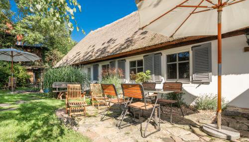 Olle Use - Foto 1, Garden, Garden view