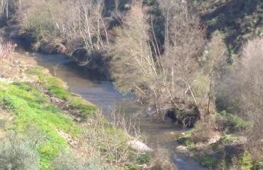 Congidouro - Foto 58