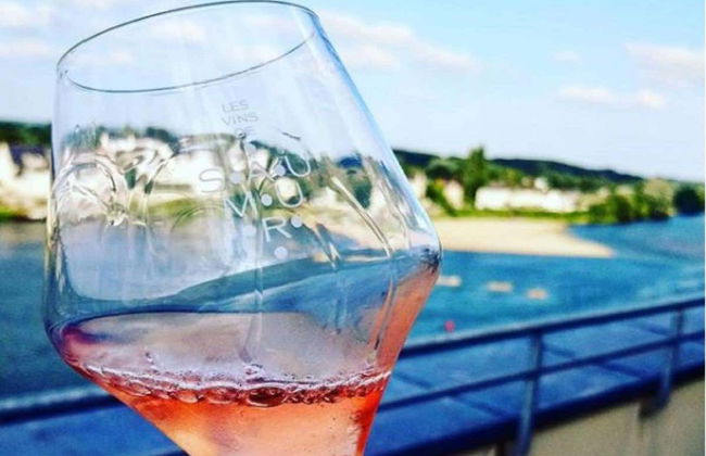 Visita a un vigneto di Saumur - Foto 3