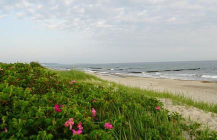 Reethaus Casa Baltica - Foto 42