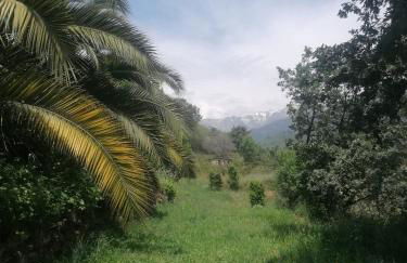 Casa Rural: La Casa Mágica de Gredos - Foto 68