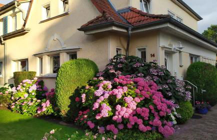 Ferienwohnung Bleichen - Foto 1