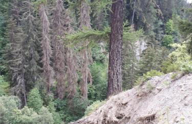 Appartement confortable face à la montagne - Foto 31