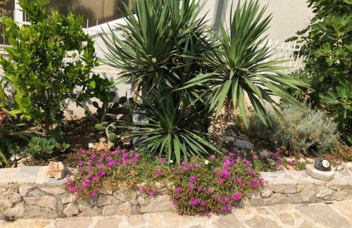 Apartments Zvijezda - Foto 25