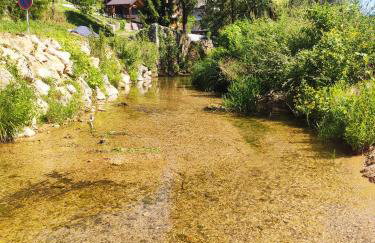 SMARAGD RIVER near Rastoke & Plitvice Lakes - Foto 22