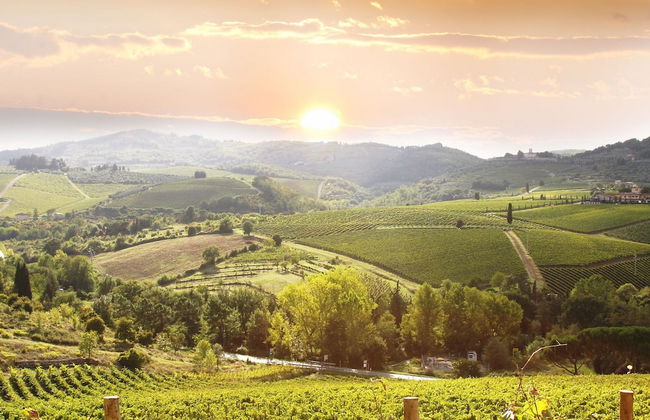 Palagio 10 in Chianti With Shared Pool - Photo 14