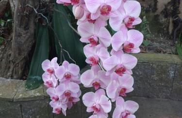 Casa completa + área gourmet - Foto 17