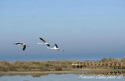 Sa Stella E Monti - Foto 39
