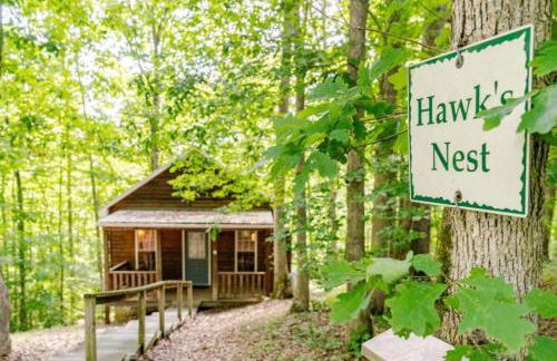 Rustic Cabin on 28-Acre Property in the Foothills of the Blue Ridge Mountains - Foto 48