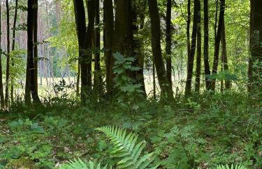 Apartamenty Joy Me Łukęcin - Foto 20