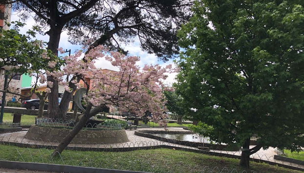 São Joaquim Guided Tour - Foto 3