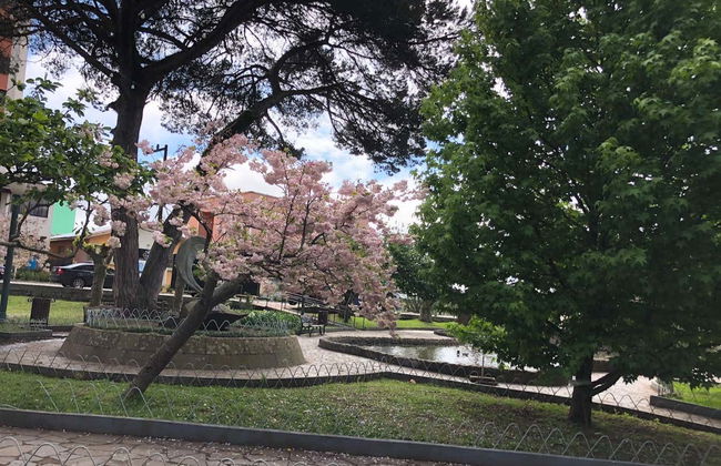 São Joaquim Guided Tour - Photo 7