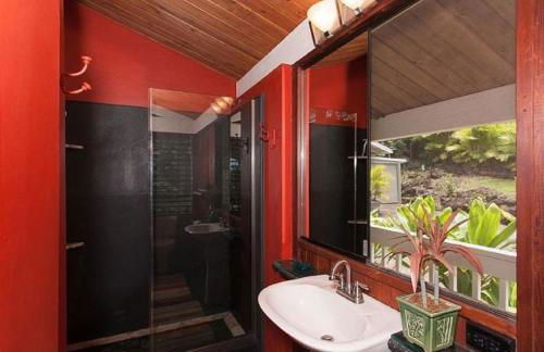 Orchid Hale - Foto 26