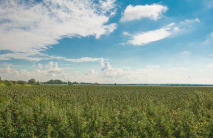 Herta Kruse Ferienwohnungen - Foto 38