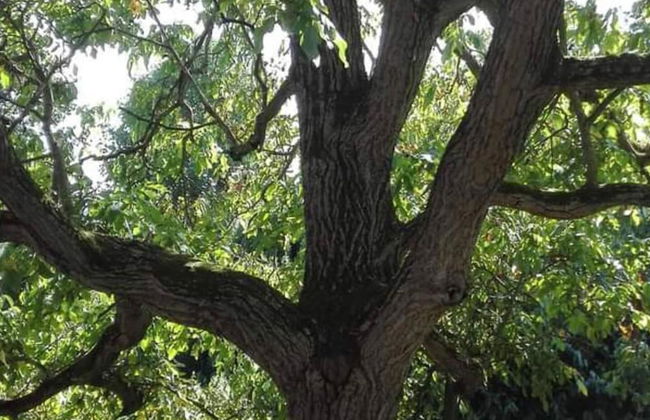 Ferienhaus Zum Unneschmitz - Foto 43