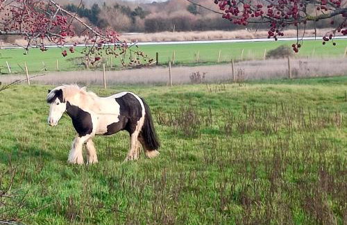 Countryside 2 Bed Bungalow with Stunning Views Free WiFi and Parking Ideal for Business and Leisure - Photo 7