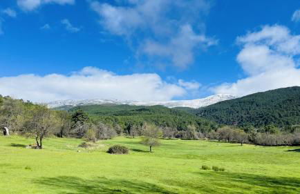 Villa Revolcona - Foto 31