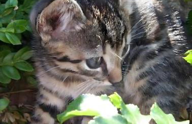 Christianshof - Photo 27